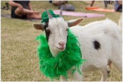 001-Kristen-Carter-Photography-Mar-3-Goat-Yoga