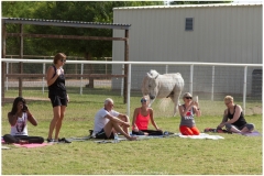 005-Arizona-Goat-Yoga-4-27-Kristen-Carter-Photography