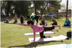 012-March-25-Goat-Yoga-Kristen-Carter-Photography
