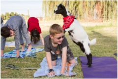 012-March-Evening-Goat-Yoga-Kristen-Carter-Photography