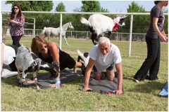 020-Arizona-Goat-Yoga-4-27-Kristen-Carter-Photography