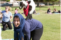 020-March-25-Goat-Yoga-Kristen-Carter-Photography