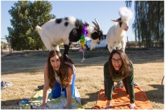 029-Feb-1-Goat-Yoga-Kristen-Carter-Photography