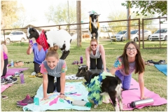 031-March-Evening-Goat-Yoga-Kristen-Carter-Photography