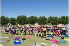 051-Goat-Yoga-April-29-Kristen-Carter-Photography