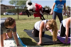 055-Monday-Goat-Yoga-Kristen-Carter-Photography