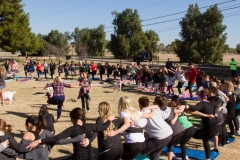 082-Feb-4-Goat-Yoga-Kristen-Carter-Photography