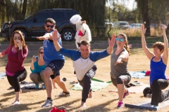 084-Feb-4-Goat-Yoga-Kristen-Carter-Photography