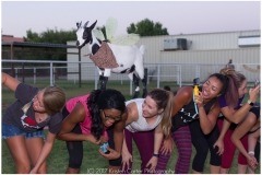 091-AZ-Goat-Yoga-June-30-Kristen-Carter-Photography