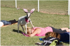 092-Goat-Yoga-April-29-Kristen-Carter-Photography