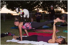 113-April-10-Goat-Yoga-Kristen-Carter-Photography