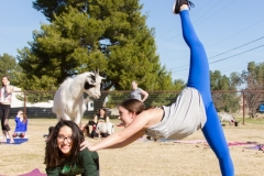 123-Feb-1-Goat-Yoga-Kristen-Carter-Photography