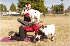 April-and-Sarah-horizontal-goatyoga.com_