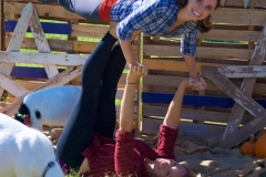 Goat-Yoga-Airplane-April-Gould-Sarah