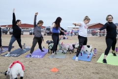 IMG_6130
