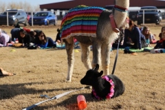 IMG_0300