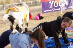 AZ Goat Yoga Kristen Carter Photography 06