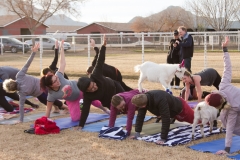 AZ Goat Yoga Kristen Carter Photography 07