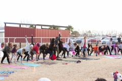 AZ Goat Yoga Kristen Carter Photography 14