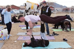 AZ Goat Yoga Kristen Carter Photography 21