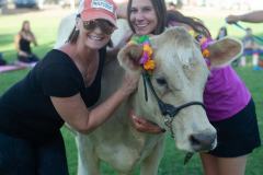 IMG_2657_websize goat-yoga cow cuddling Arizona