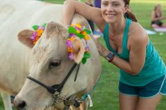IMG_2696_websize goat-yoga cow cuddling Arizona