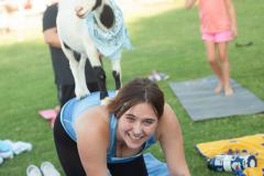 IMG_2704_websize-1 goat-yoga cow cuddling Arizona