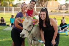 IMG_2712_websize goat-yoga cow cuddling Arizona