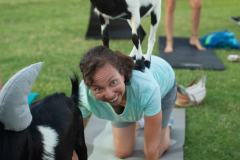 IMG_2714_websize goat-yoga cow cuddling Arizona