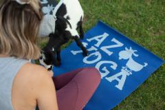 IMG_2775_websize goat-yoga cow cuddling Arizona