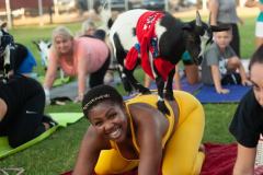 IMG_2802_websize goat-yoga cow cuddling Arizona