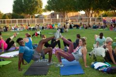 IMG_3026_websize goat-yoga cow cuddling Arizona
