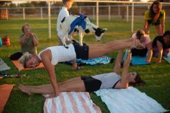IMG_3071_websize goat-yoga cow cuddling Arizona