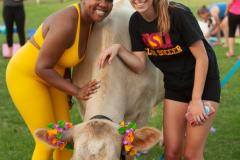 IMG_3144_websize goat-yoga cow cuddling Arizona