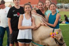 IMG_3168_websize goat-yoga cow cuddling Arizona