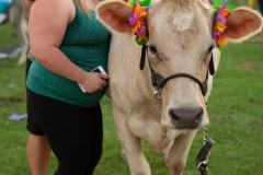 IMG_3206_websize goat-yoga cow cuddling Arizona