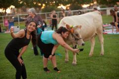 IMG_3222_websize goat-yoga cow cuddling Arizona