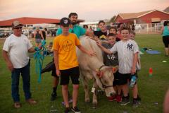 IMG_3234_websize goat-yoga cow cuddling Arizona
