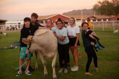 IMG_3260_websize goat-yoga cow cuddling Arizona