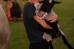 IMG_3264_websize goat-yoga cow cuddling Arizona
