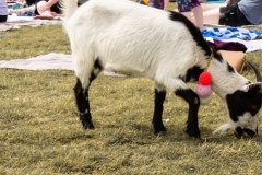 IMG_8281