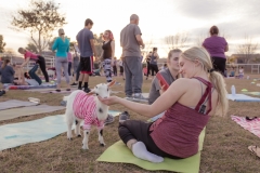 march-2019goat-yoga103kristinmerwin114march-2019