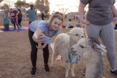 march-2019goat-yoga108kristinmerwin114march-2019