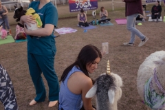 march-2019goat-yoga109kristinmerwin114march-2019