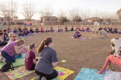 march-2019goat-yoga11kristinmerwin114march-2019