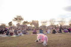 march-2019goat-yoga13kristinmerwin114march-2019