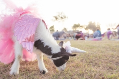 march-2019goat-yoga19kristinmerwin114march-2019
