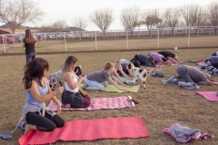 march-2019goat-yoga20kristinmerwin114march-2019