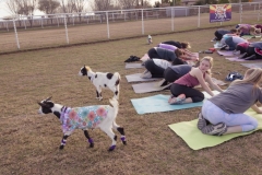 march-2019goat-yoga21kristinmerwin114march-2019