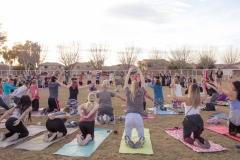 march-2019goat-yoga22kristinmerwin114march-2019